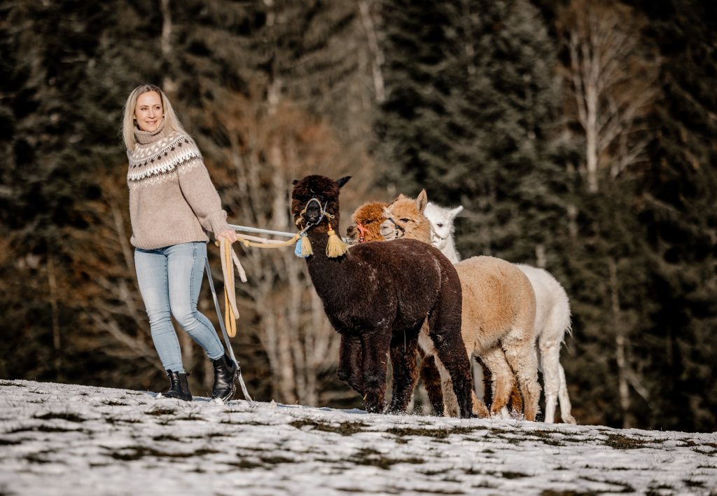 Lena Niedermühlbichler
Ellmau, Kaiser Alpaka, geführte Wanderung, Tour, Wilder Kaiser, Wald,